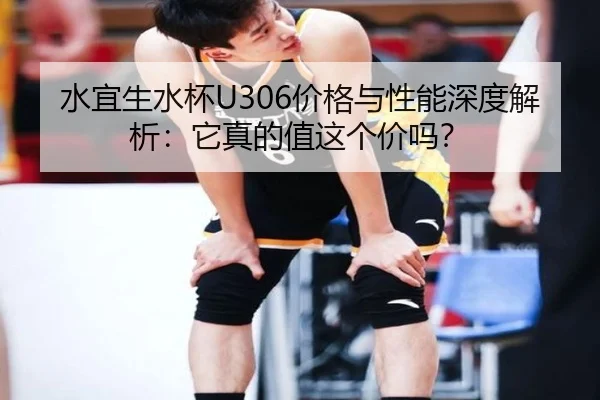 水宜生水杯U306价格与性能深度解析：它真的值这个价吗？