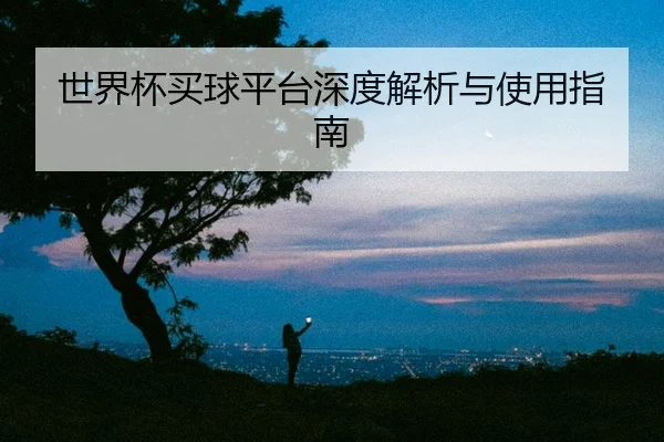 世界杯买球平台深度解析与使用指南